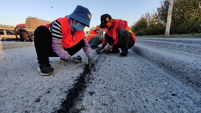 IMG_20221011_165127_proc_副本 IMG_20221011_165127_proc_副本