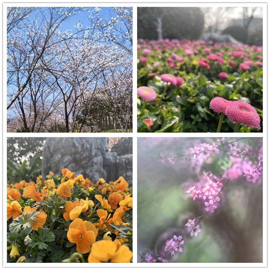 【女神節(jié)專題】一路走來一路拍——于金瀅攝影集之打卡玄武湖、中山陵