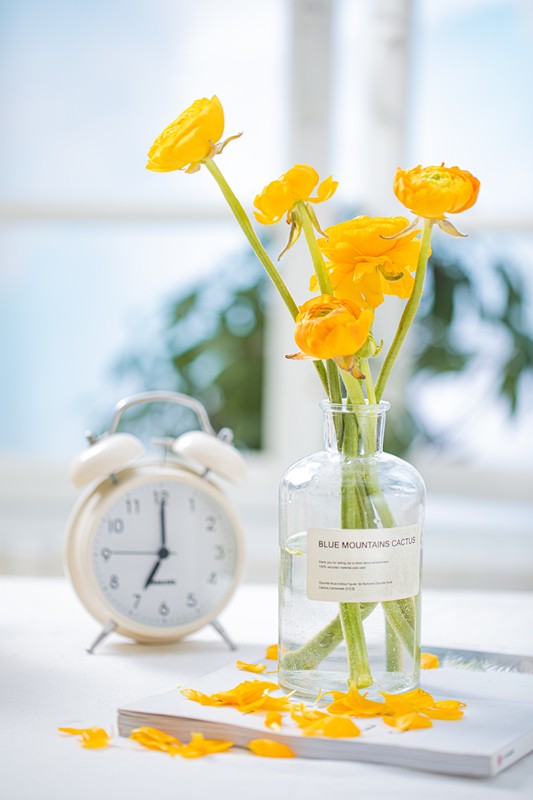 春將遠(yuǎn)，夏將至