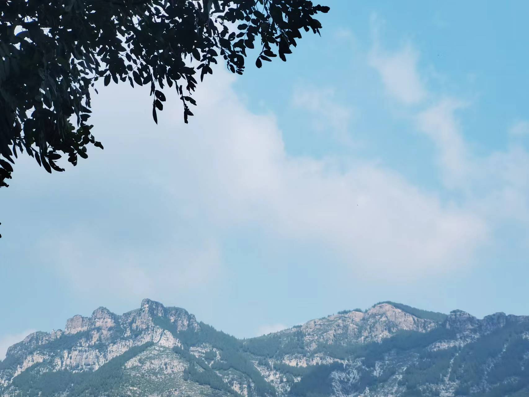 走走停停，不虛此行