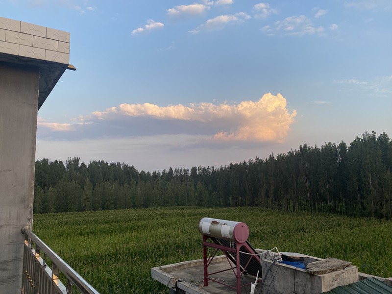 家無數(shù)次治愈我