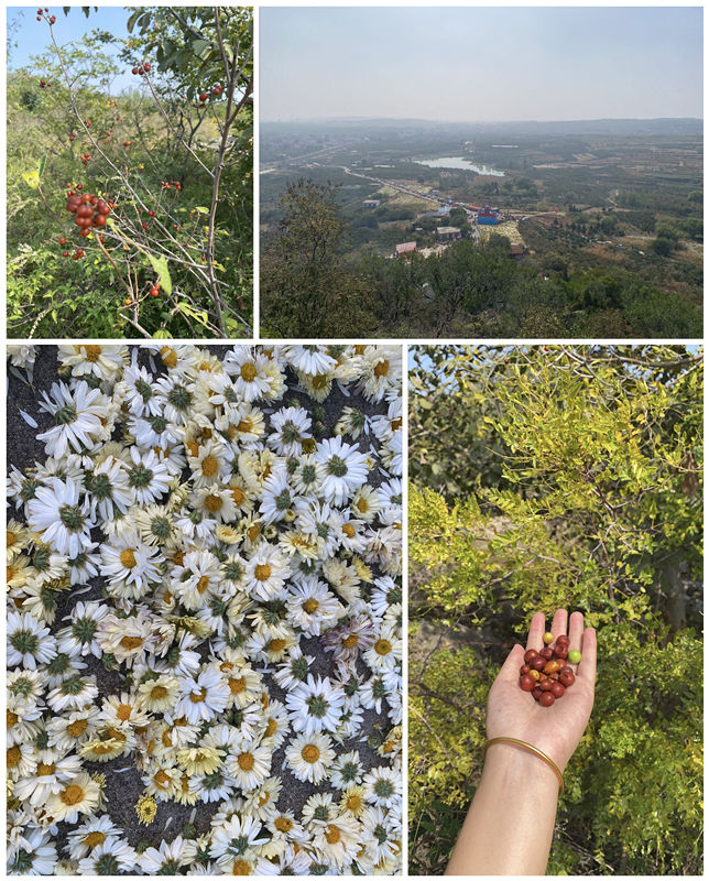 4d7c83ec07f22cceaff53d01b40908aNGQ3Yz_副本 4d7c83ec07f22cceaff53d01b40908aNGQ3Yz_副本