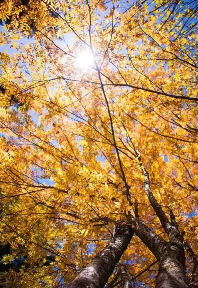 微信圖片_20241010081945