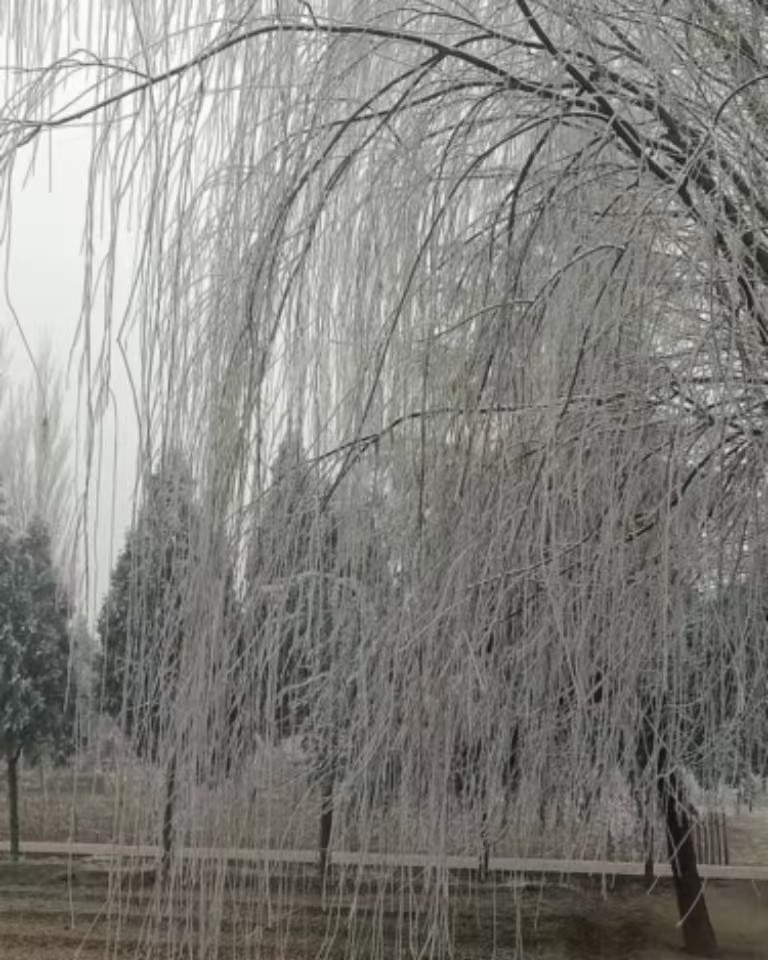 一季之寒，一世之暖