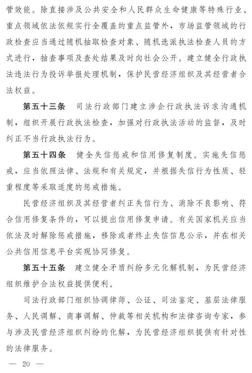 民營經(jīng)濟促進法(草案)_12