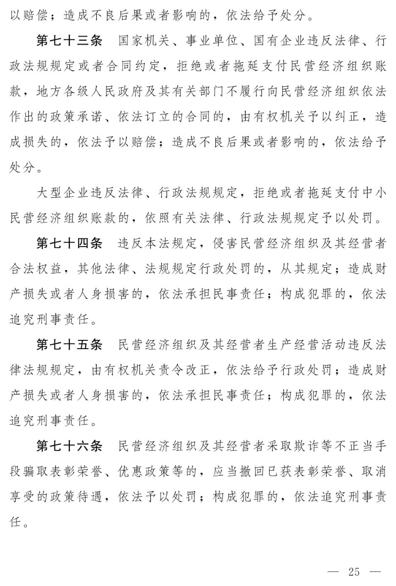 民營經(jīng)濟促進法(草案)_17