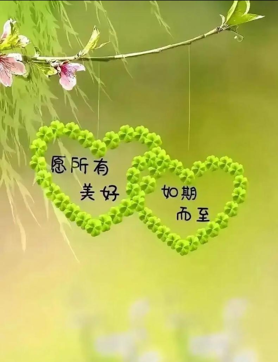 廿載情誼，重逢見暖陽(yáng)