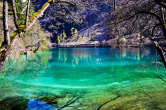 在青春里色彩斑斕