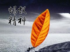 螞蟻精神