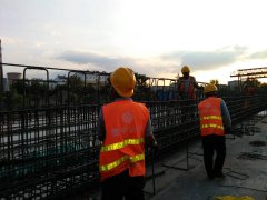 遷徙的候鳥，領(lǐng)略不一樣的風(fēng)景