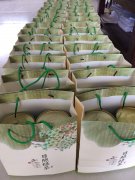 公司夏日送清涼