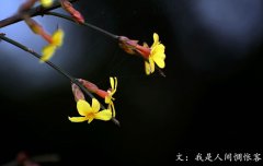 春分將至，我在等你——致徐徐爬行的你