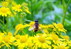 一年之計在于春