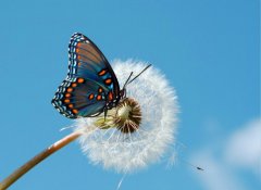 改變，從魯中公路開始