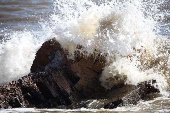 長(zhǎng)風(fēng)破浪會(huì)有時(shí)，直掛云帆濟(jì)滄海