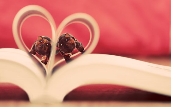 愿有一人，懂你背后所有的苦