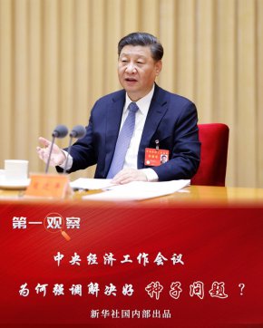 中央經(jīng)濟工作會議，為何強調(diào)解決好種子問題？