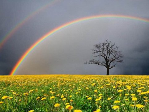 【學(xué)習(xí)心得】風(fēng)雨后的彩虹