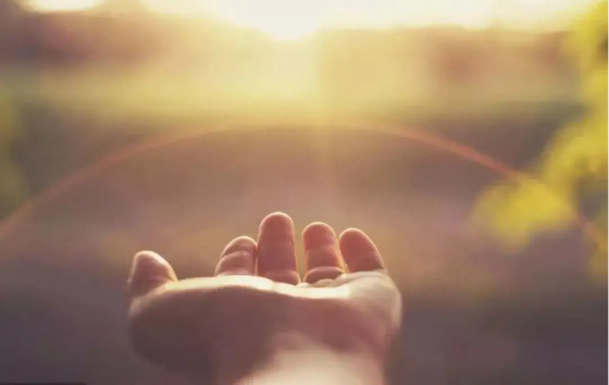 萬般皆苦，何以幸福