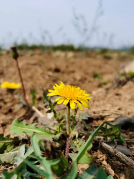 滿懷希望，走向未來