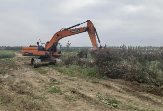 郯城縣李莊中環(huán)路項目施工進(jìn)展